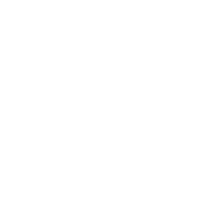 Logo Misa de Raíz